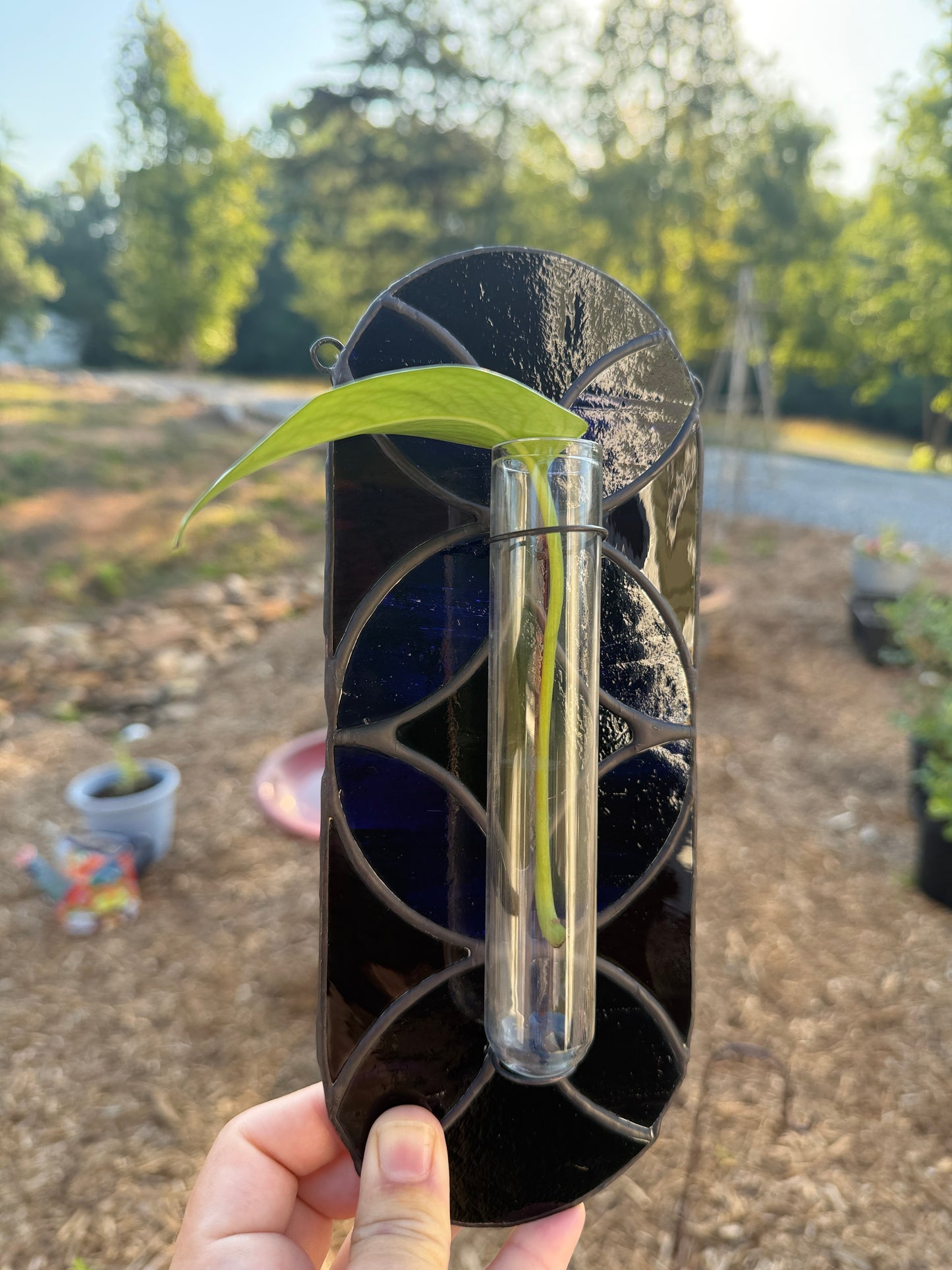 "Black Magic" Propagation Suncatcher