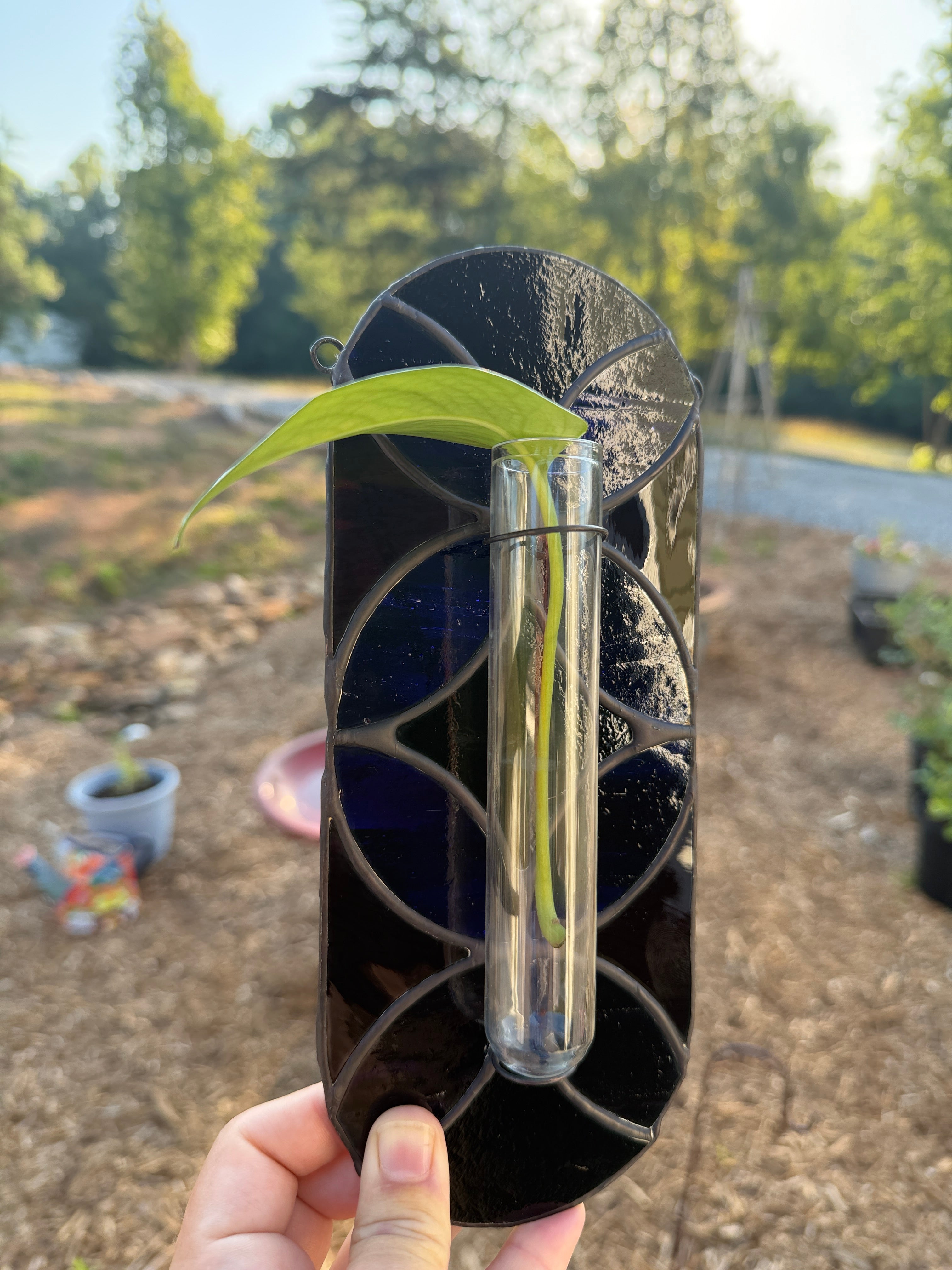 "Black Magic" Propagation Suncatcher