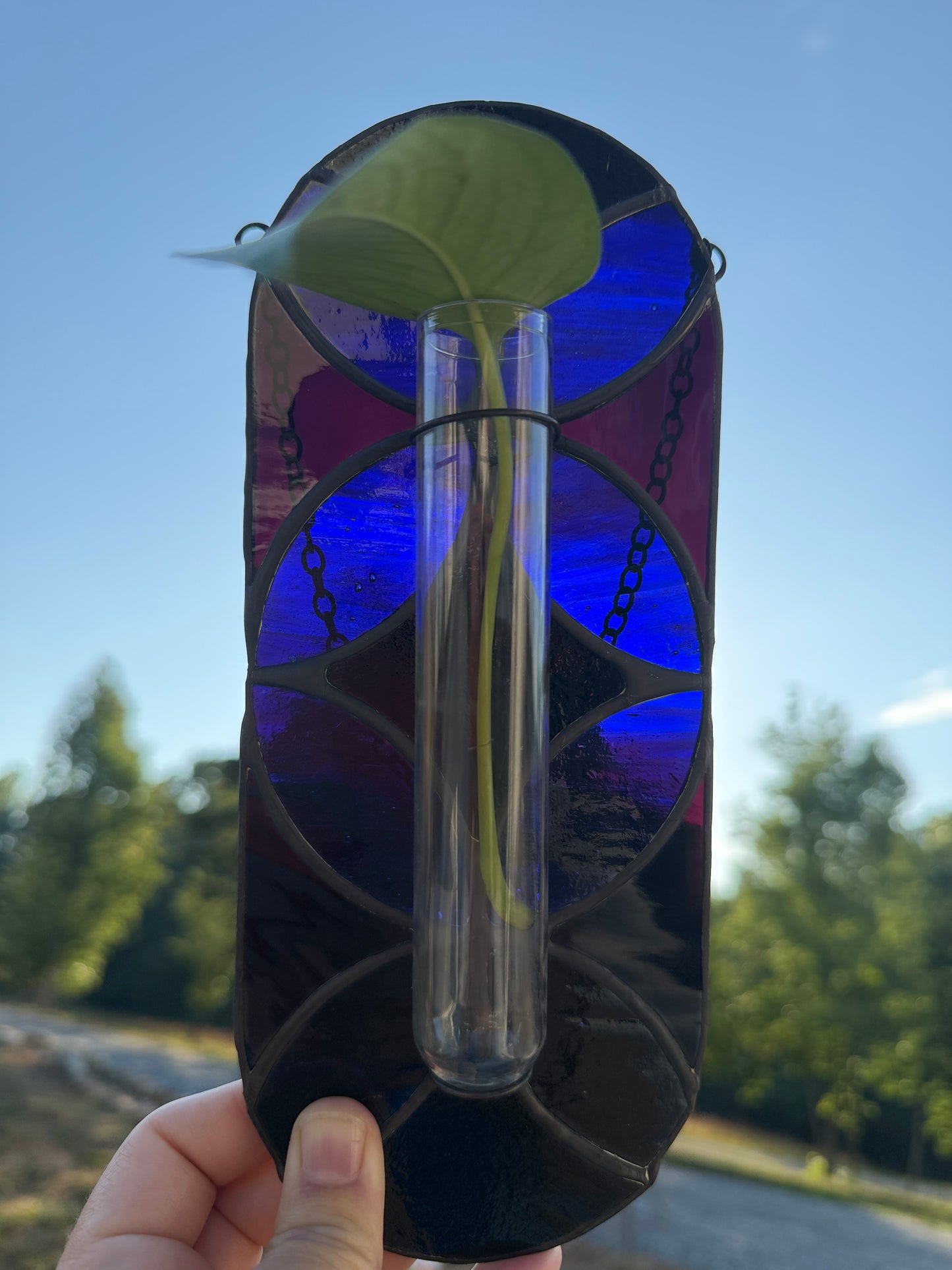 "Black Magic" Propagation Suncatcher