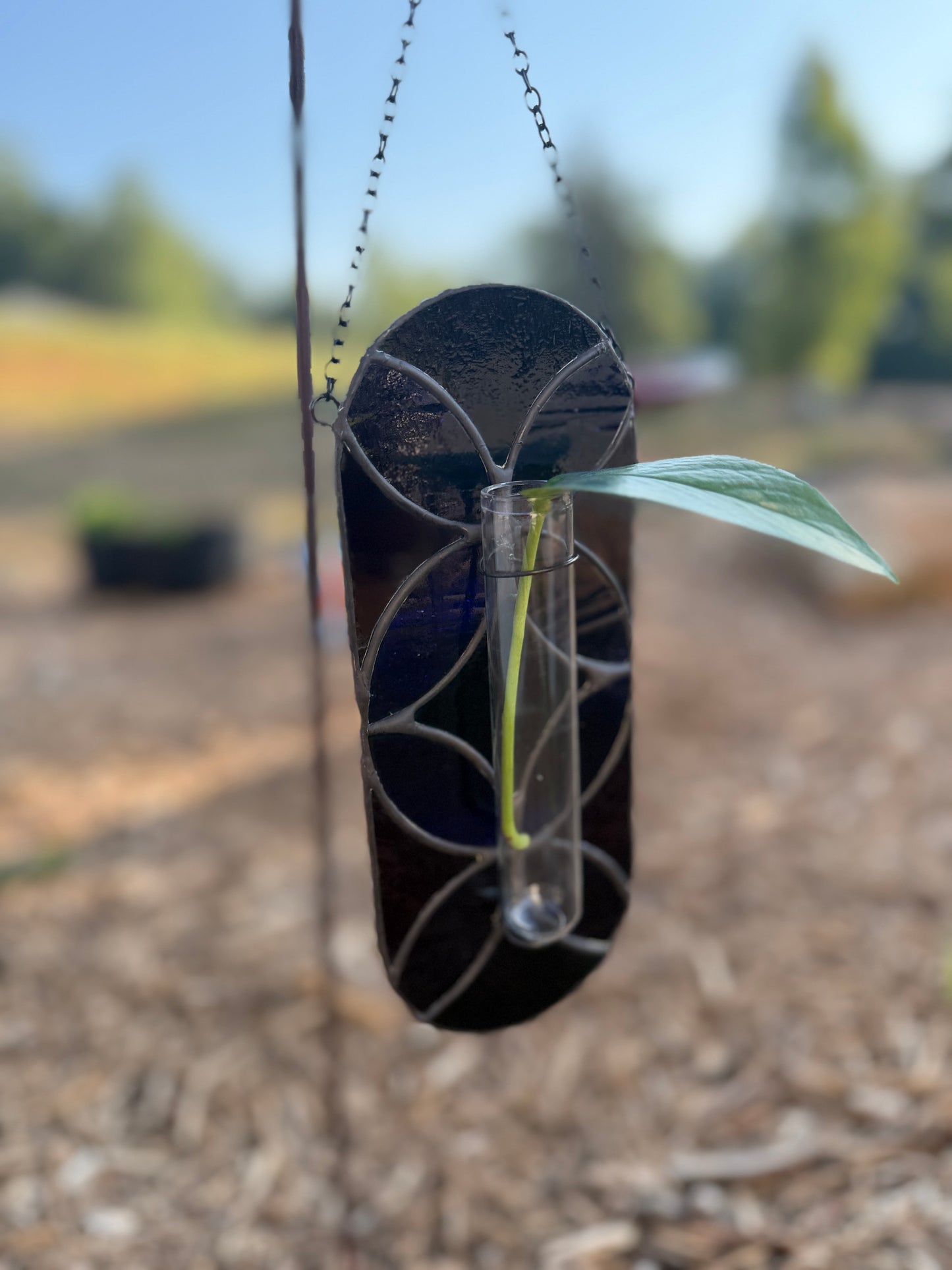 "Black Magic" Propagation Suncatcher