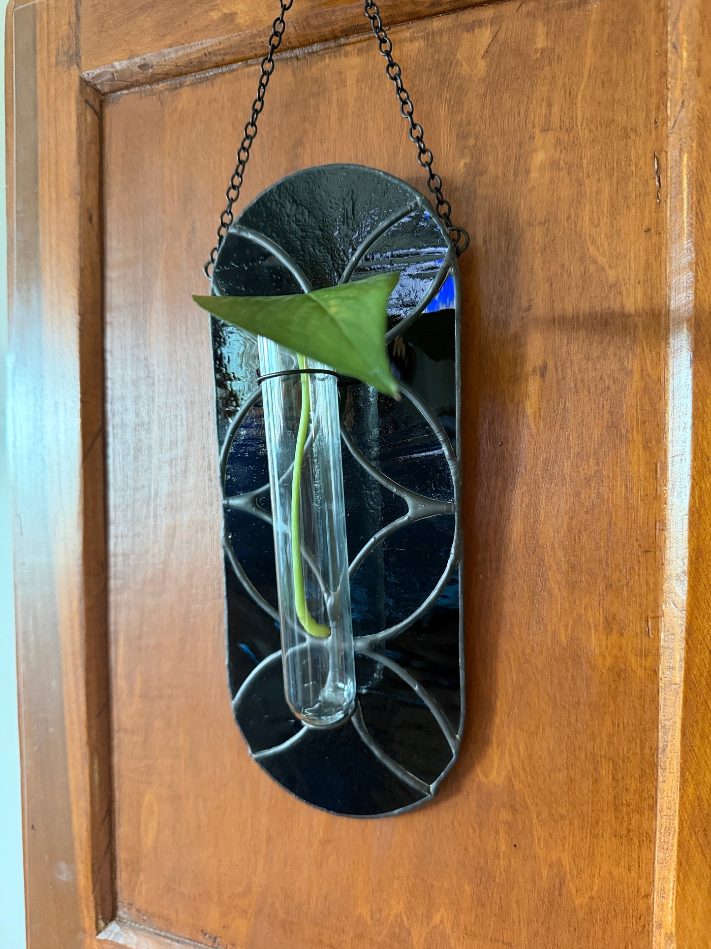 "Black Magic" Propagation Suncatcher