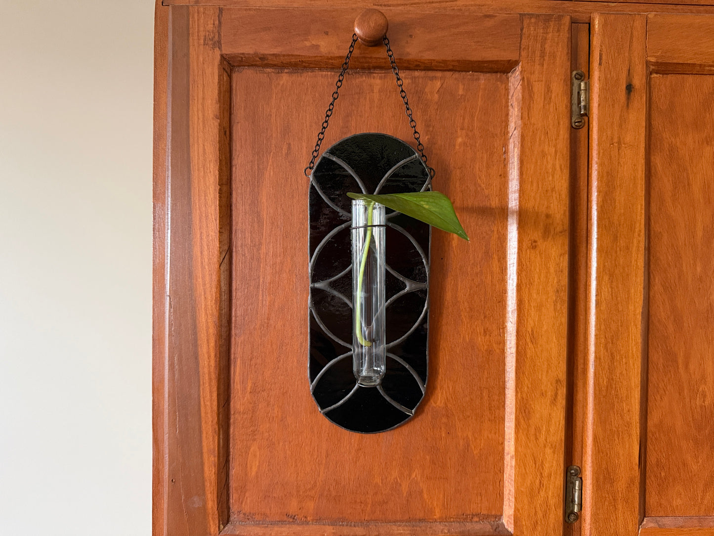"Black Magic" Propagation Suncatcher